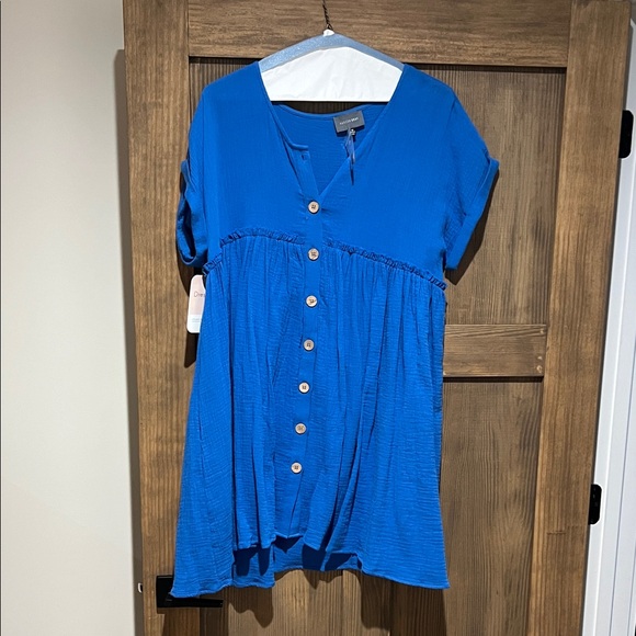 Blue Button-Down Mini Dress - Picture 1 of 4